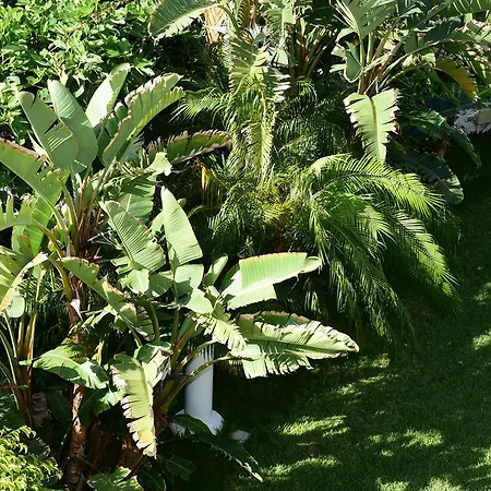 Taboga (adults Only) *