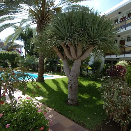 Taboga Playa del Inglés